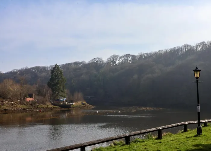 No 15 Riverside Walk Mallard