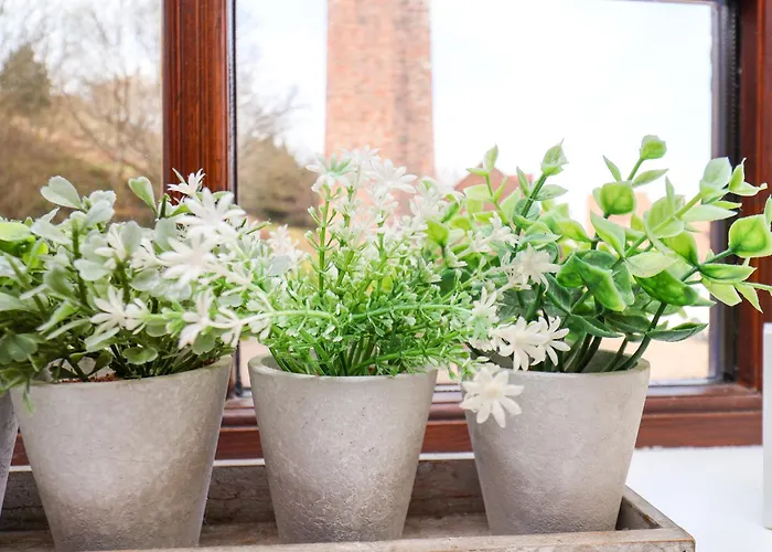 No 15 Riverside Walk Mallard Whitby